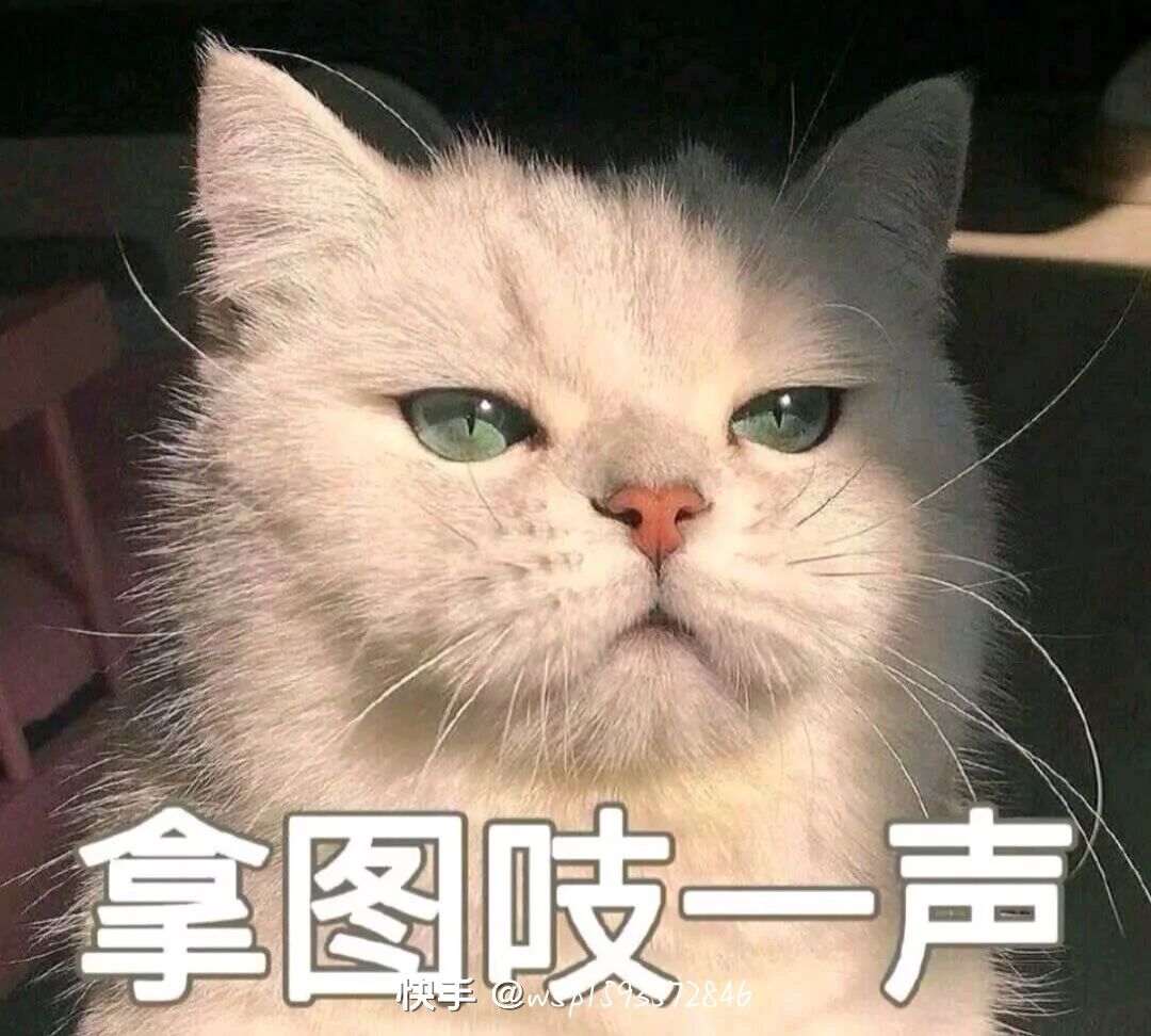 动态图片 18