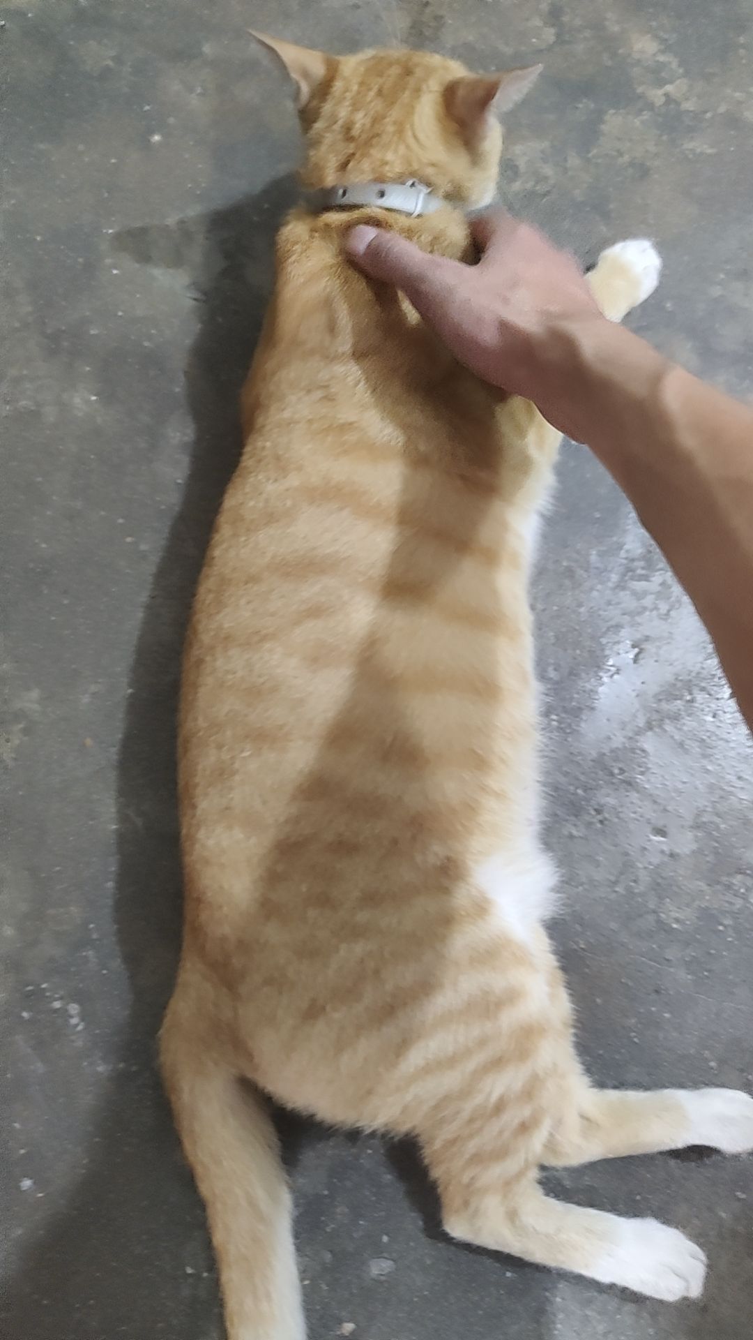 为啥老闪退啊 三年了都没修复哇 1