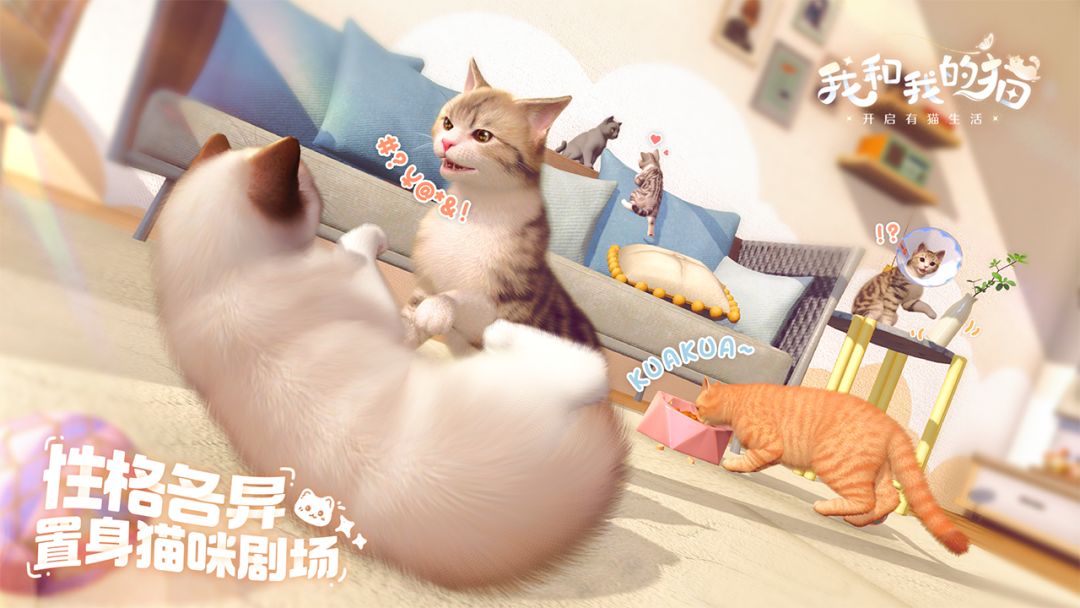 爱猫人士福音来啦🐱🐱🐱 2