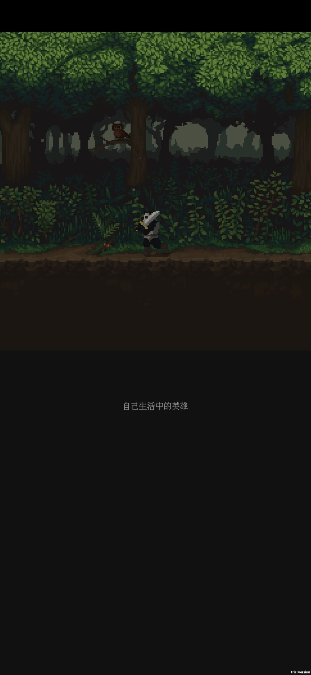 庆祝第一次通关 2