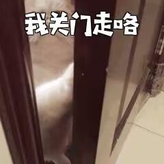 动态图片 9