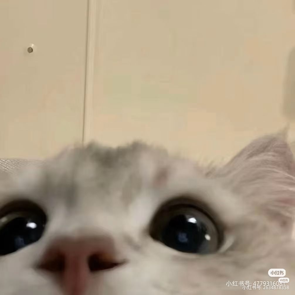 给小女子整笑了 1