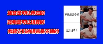 听说联动密令大放送，那我就不客气了！