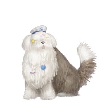 来自喵的分享——一起感受与萌犬的奇妙邂逅吧！