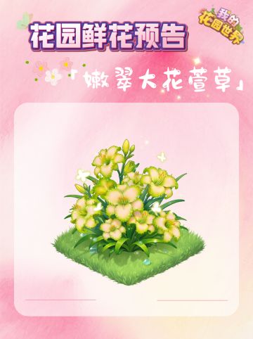 内含兑换码🎁|「嫩翠大花萱草」即将上新！