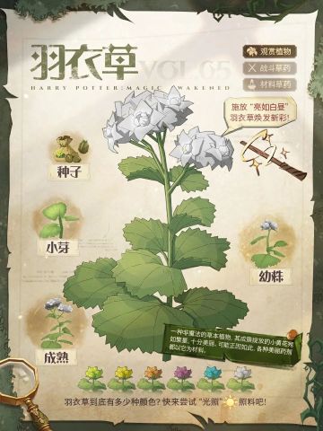魔法植物图鉴丨内有萌/猛物？后果自负！