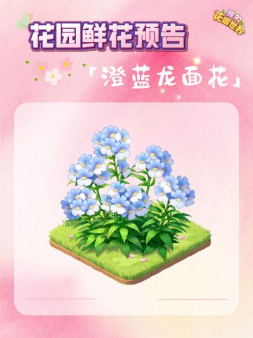 内含兑换码🎁丨鲜花礼包🌸「澄蓝龙面花」即将上新！