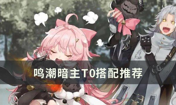 鸣潮暗主T0怎么搭配-暗主T0搭配推荐截图