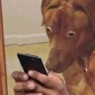 这个jian我必须得犯！