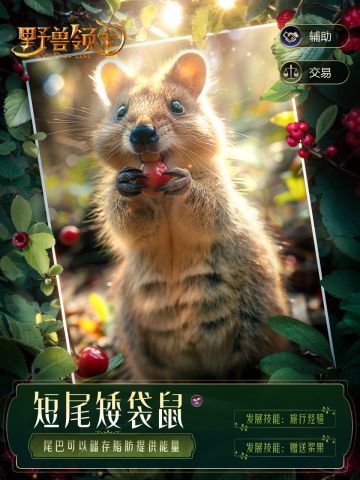 【野兽图鉴】野兽领地的社交达人，短尾矮袋鼠来咯~