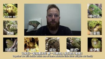 从无人问津到25万销量，中国玩家又把一款冷门独游“买爆”了