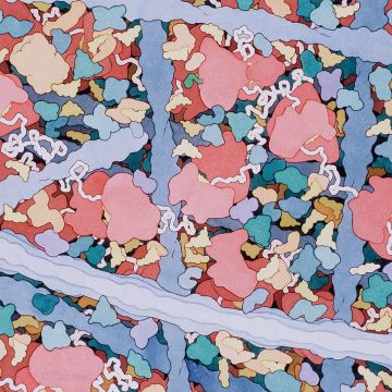 诸神世界观的考究|神、神话、宗教和世界·壹