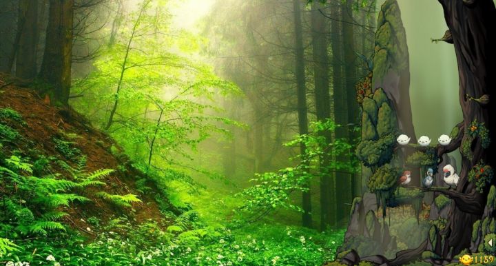 上班摸鱼好帮手!桌面养鸟陪伴日常《幻鸟之森》现已发售~截图