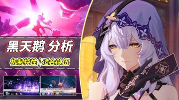 【V2.0攻略】改善DOT队转火问题？黑天鹅机制分析，可入多种体系