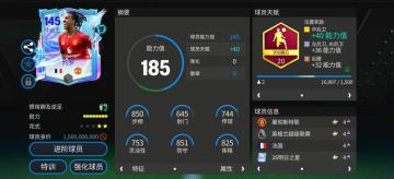 队套推荐：传奇与新星齐聚，明日之星队套（下）