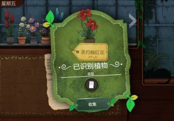 探索植物魔法！《奇异园艺》移动版为你开启解谜新世界