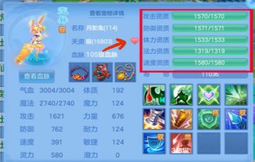 不懂宠物打造的看过来