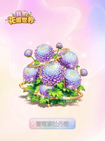 内含兑换码🎁丨鲜花礼包🌸「葡萄紫牡丹菊」即将上新！