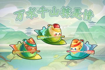 万水千山粽是情，这次粽子真的行~