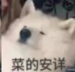 找到个RTS《风暴崛起》,入坑体验了一下感觉还不赖截图