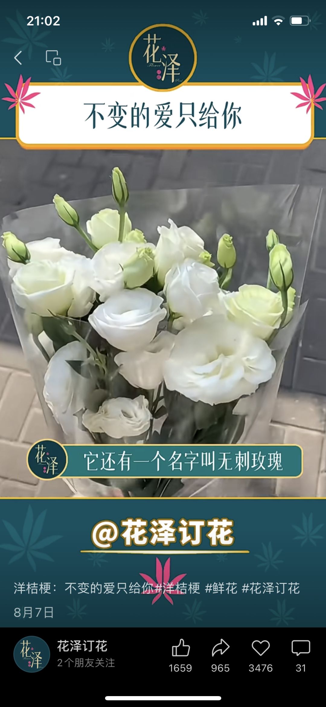 感觉M莫很适合互相送这三种花哈 2