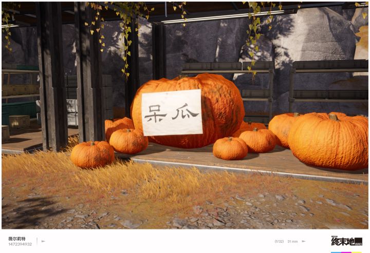 呆 瓜截图