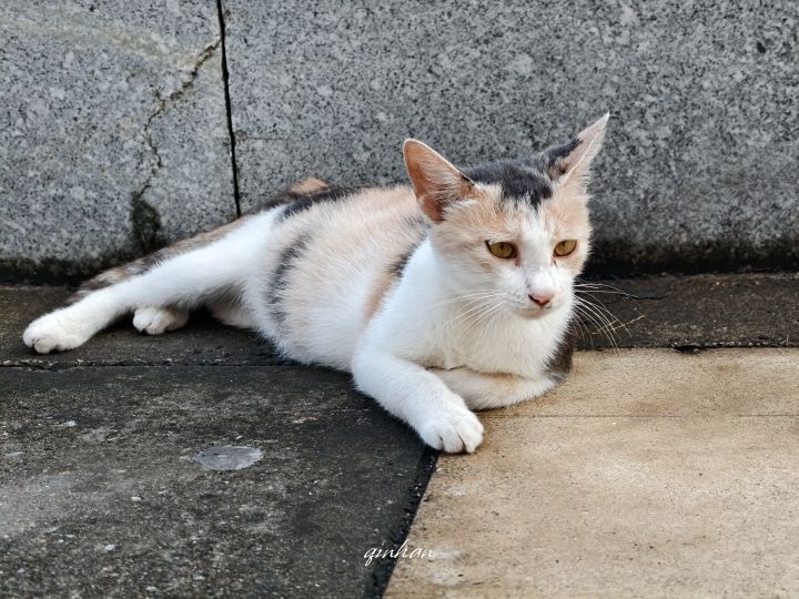 有没有大哥分享一下传火截图