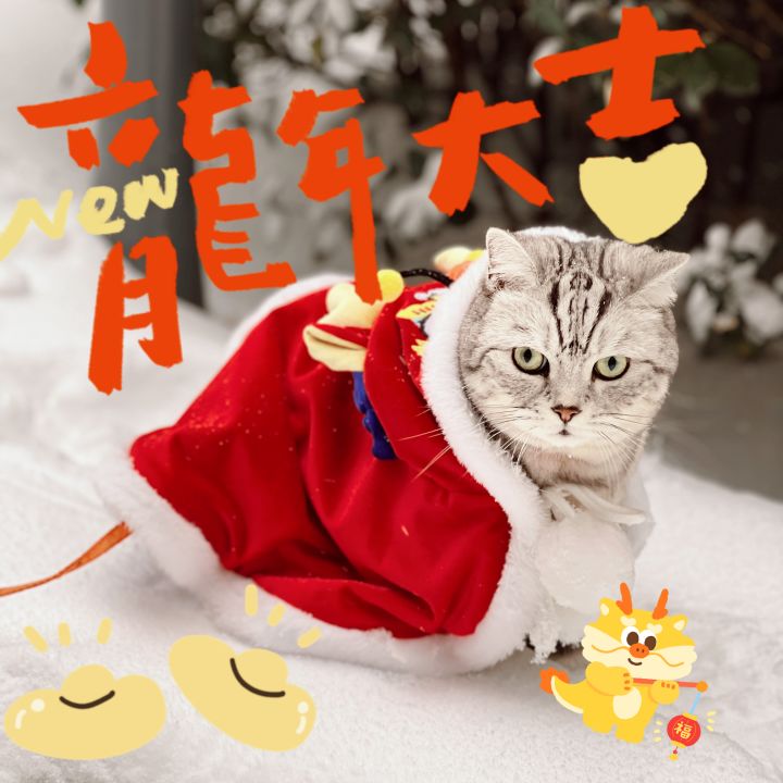 密码什么太好猜了截图