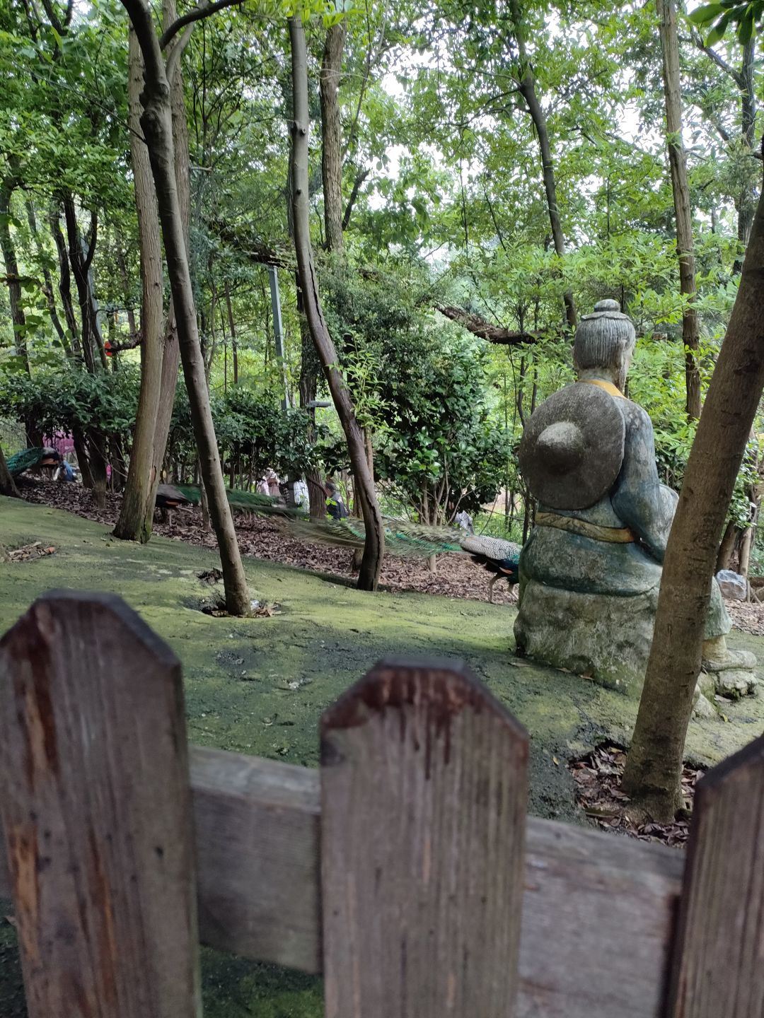 动态图片 4