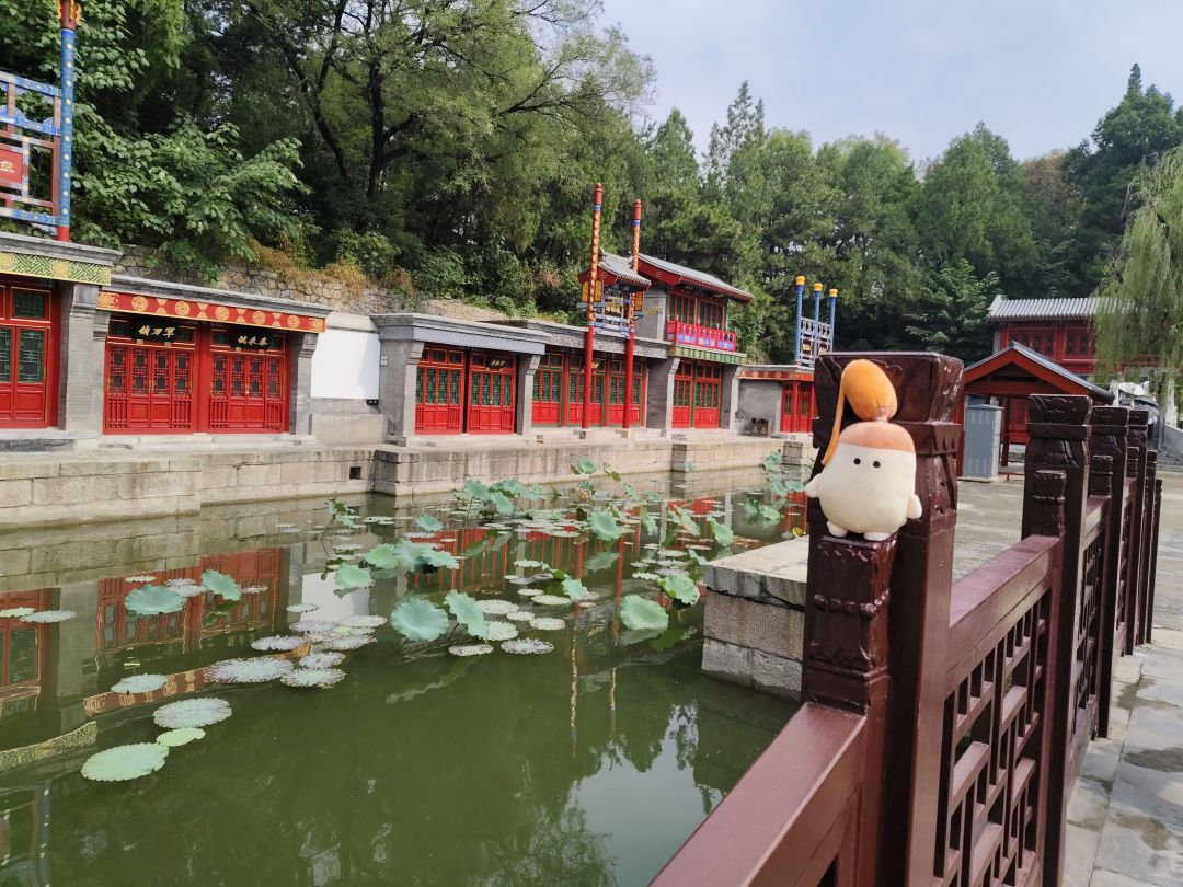 小转陪我逛颐和园,小转好 2
