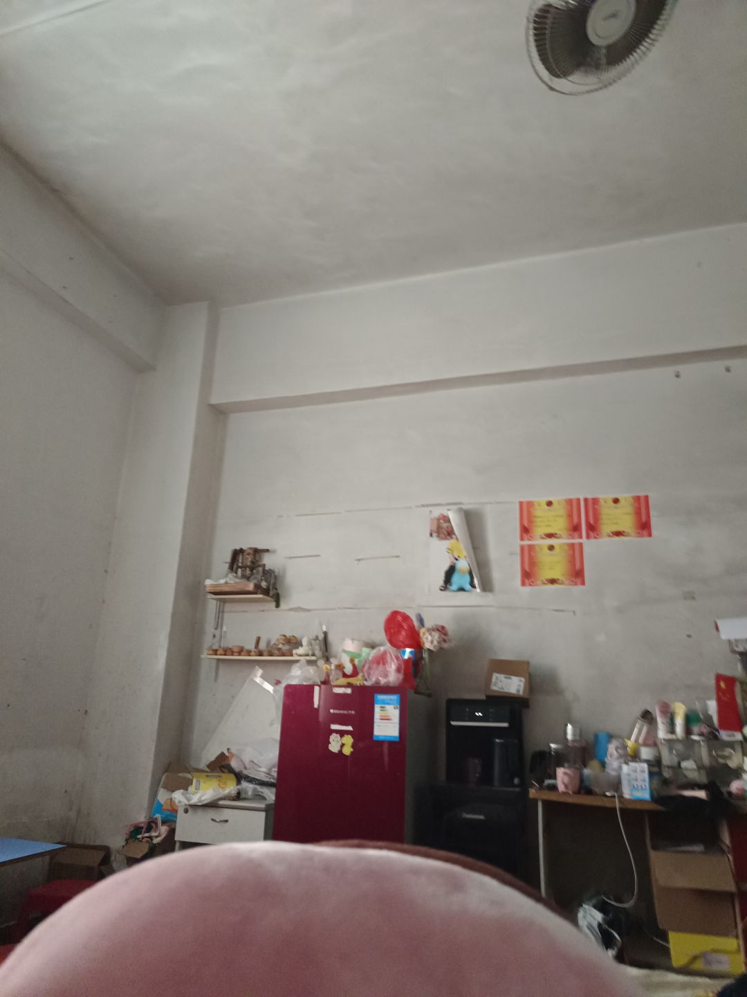 动态图片 4