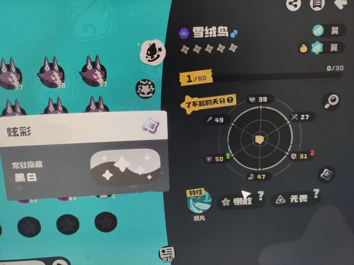 致敬我最爱的远哥截图
