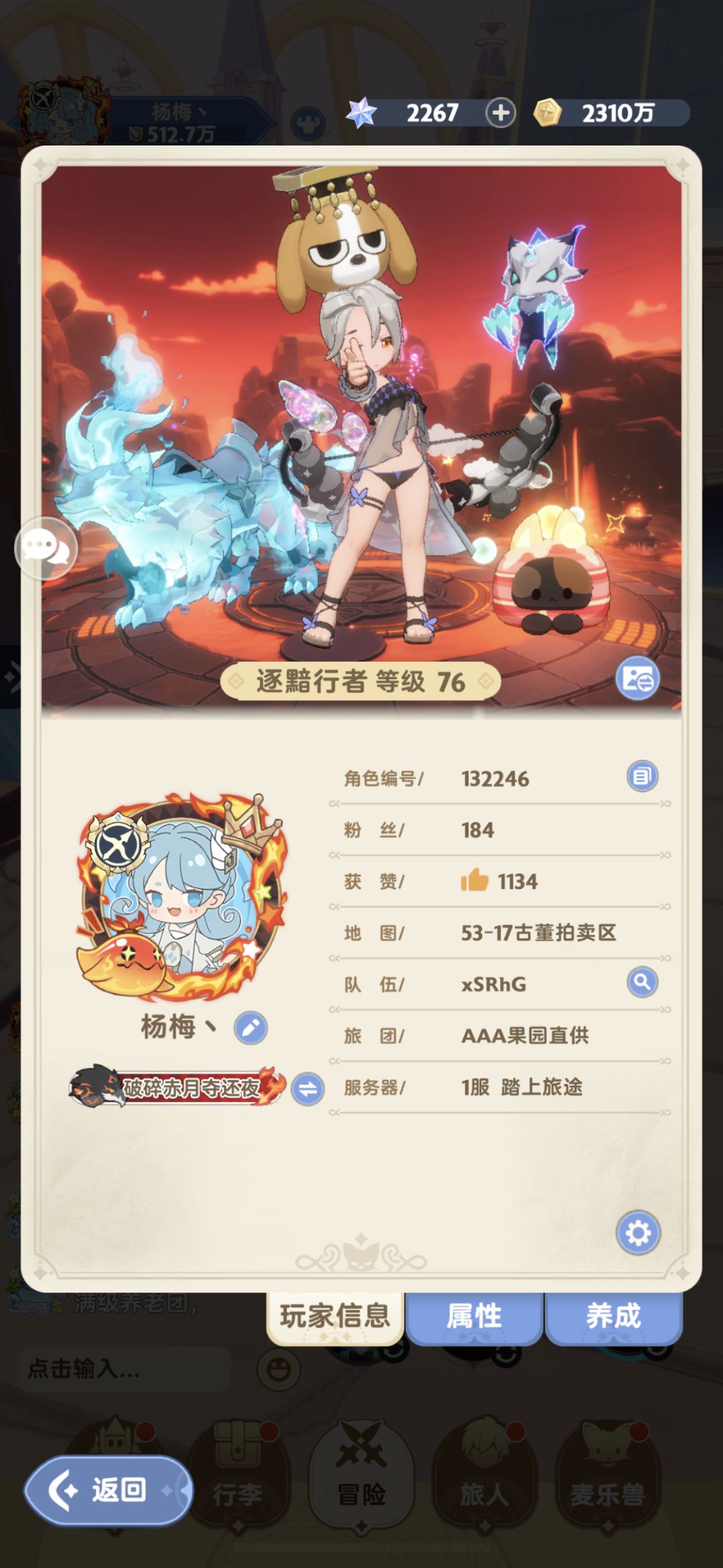 动态图片 3