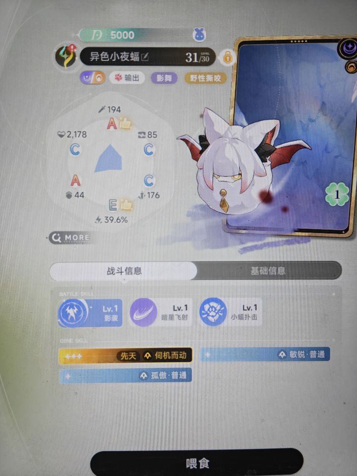 一天两只异色截图