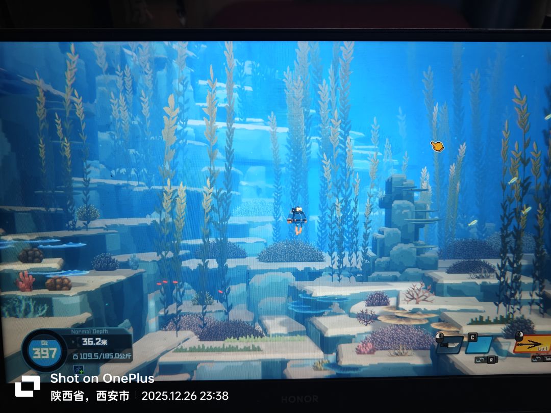 欣赏风景 1