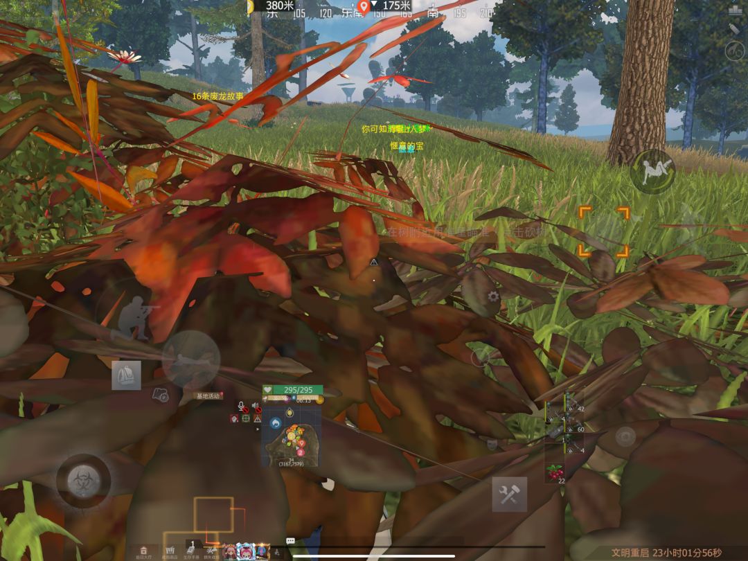 守家 1