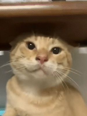 新机甲特性不一定真