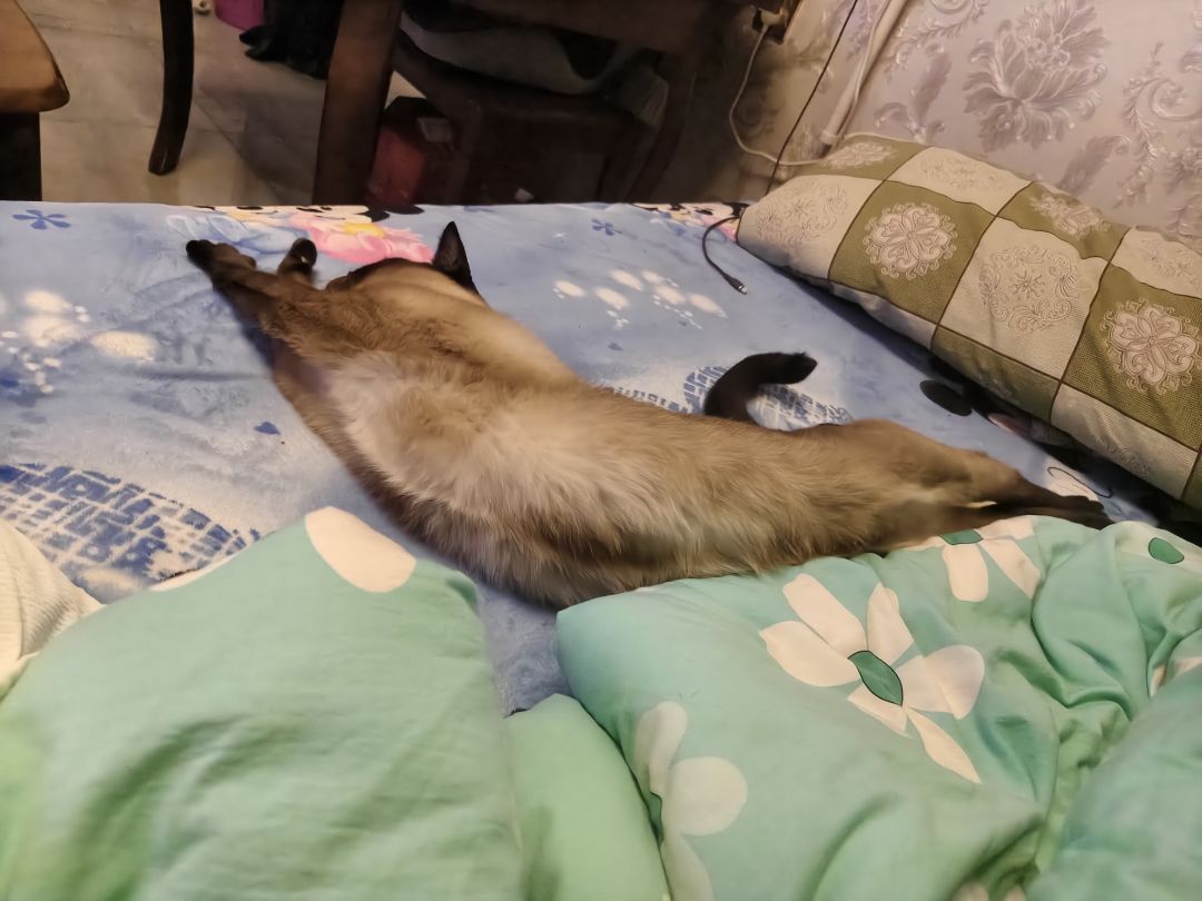 求传火 1