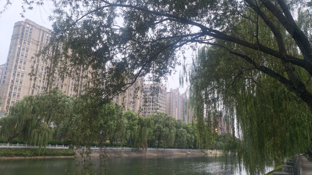 超级喜欢这样的氛围,流水,杨柳,秋风 1