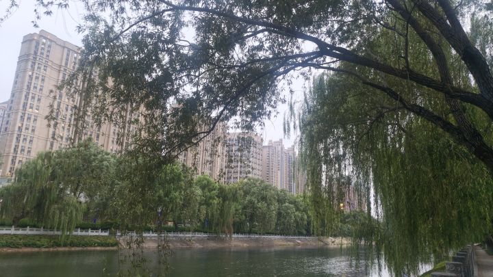 超级喜欢这样的氛围,流水,杨柳,秋风截图