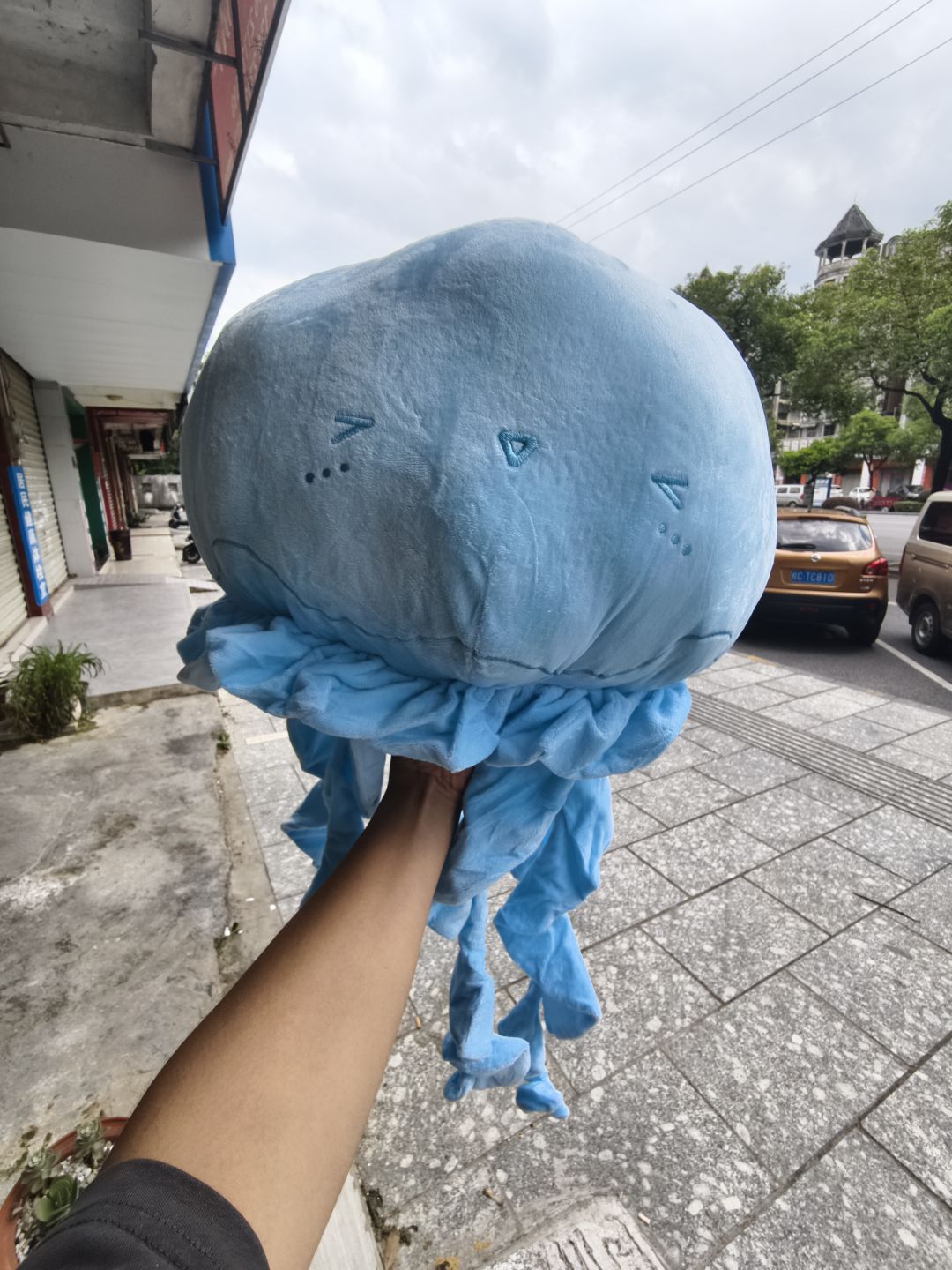 鸽游抽奖奖品抱枕 2