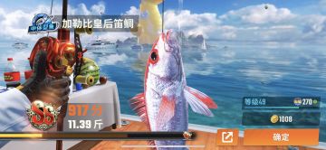 更新闪卡后最新版本兑换码！！！