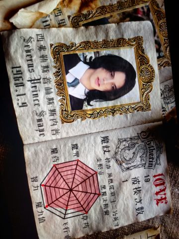 【HP】CURSE&VIOLENCE咒与拳I