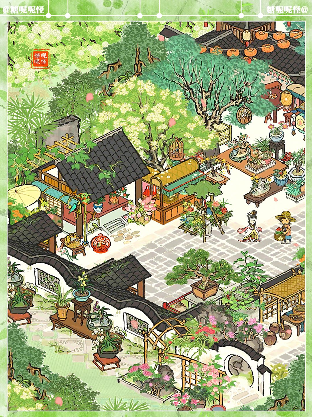 🌸一个养满花花草草的小院子🌸🍃🌿 3