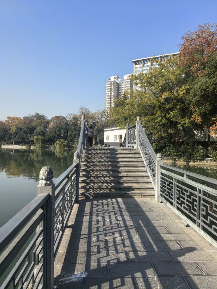 精彩截图分享 2025-12-2截图