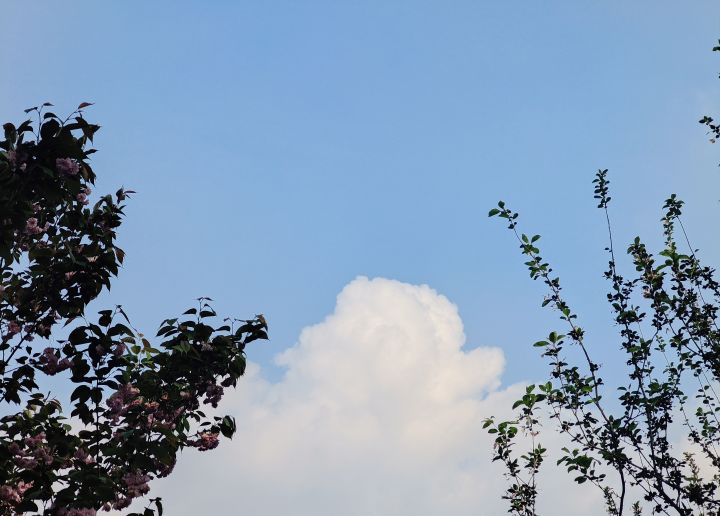 萌新像中奖，一直不中啊[表情_豹哭]截图