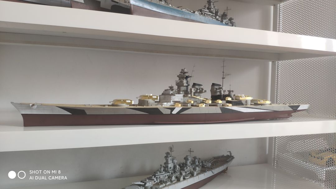 川渝1/350大选帝侯(二) 1