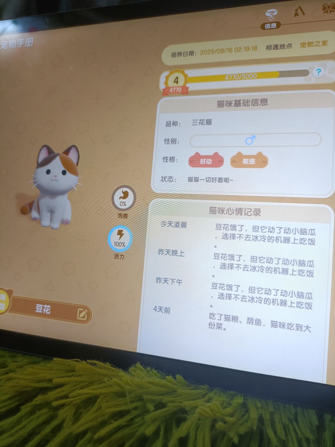 鸡肋,毁灭吧!!! 5
