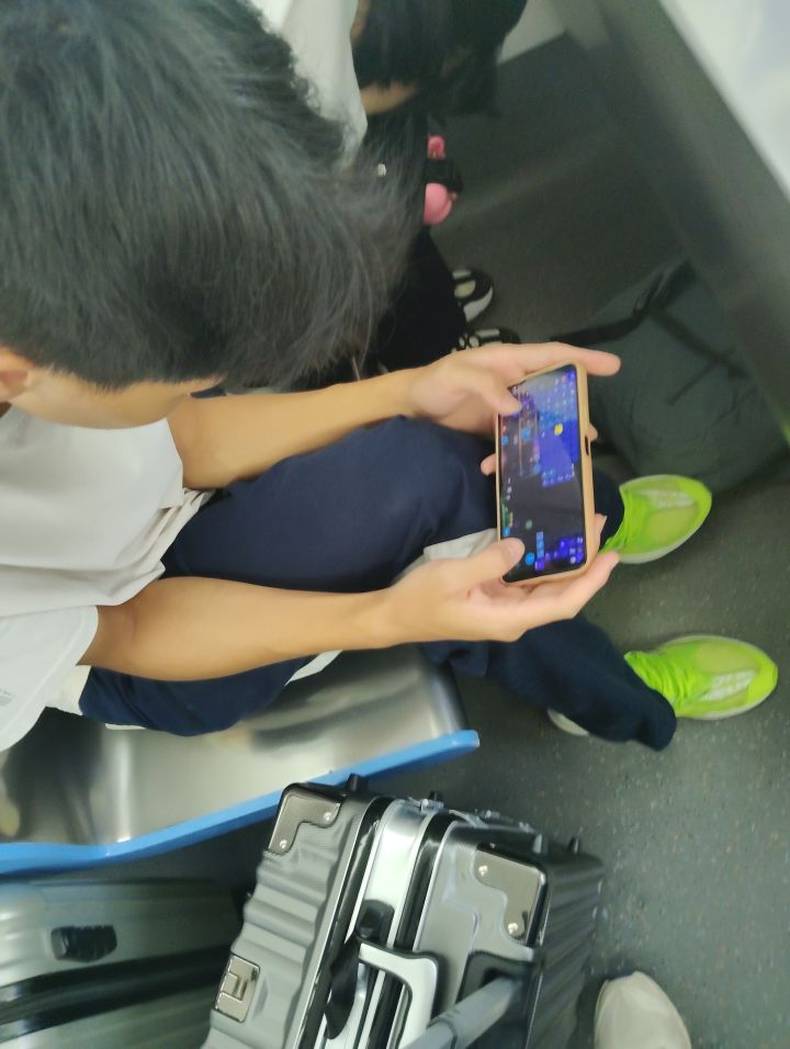 遇到野生泰拉人了截图