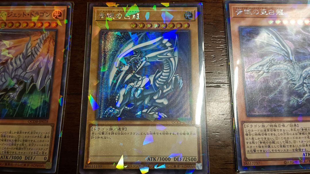 白龙们真的太美丽了 3